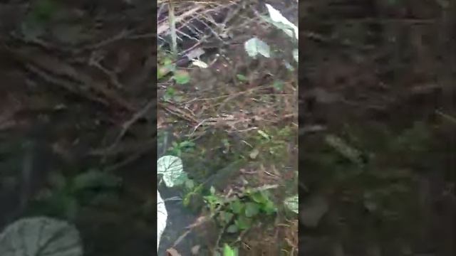 akirnya смотреть онлайн