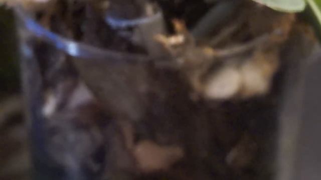 ЗАКРЫТАЯ система "ЗА" и "ПРОТИВ" смотреть онлайн