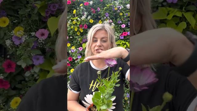 Today’s Top 5 Plants, May 4 смотреть онлайн
