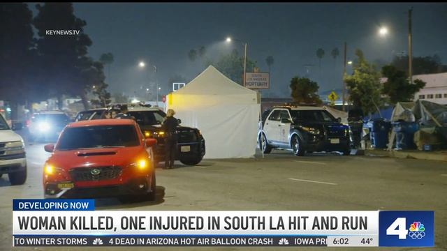 Woman Killed In South LA Hit-and-run Crash