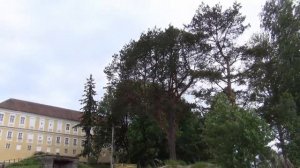 Селигер 2016. День 1 Часть 2. Прогулка по Осташкову, Вечер на озере Селигер.