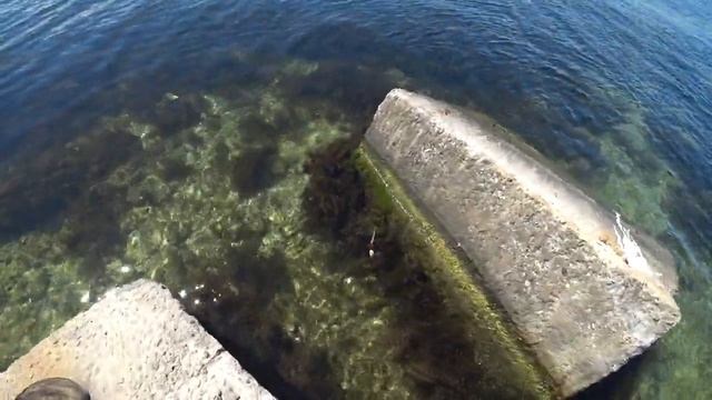 Ксюша и Степа пробуют поймать рыбку в МОРЕ... смотреть онлайн