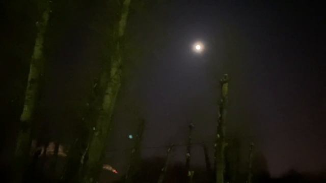 куда дует ветер 25.02.2021 | where the wind blows смотреть онлайн