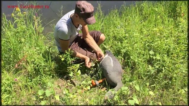 Спорт пласт на воду смотреть онлайн