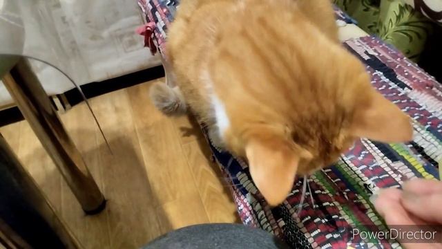 Заготовка еды для Нины на неделю. смотреть онлайн