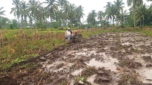 Kubota RD85 1S plowing a field full of weeds | Java Tractor смотреть онлайн