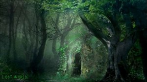 Jungle Music & Tribal Music - Lost Rainforest