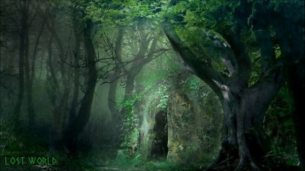 Jungle Music & Tribal Music - Lost Rainforest