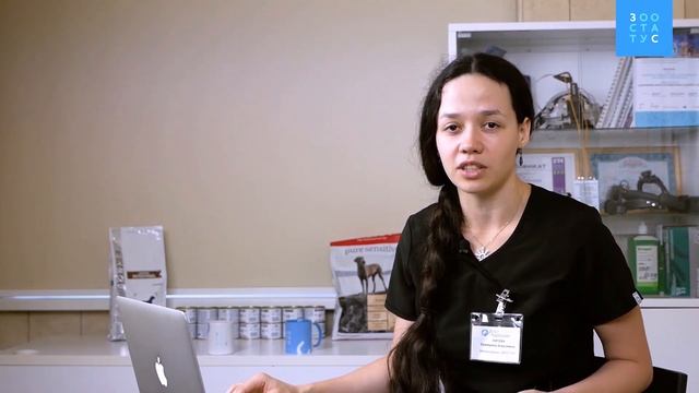 Опасные для собак продукты смотреть онлайн