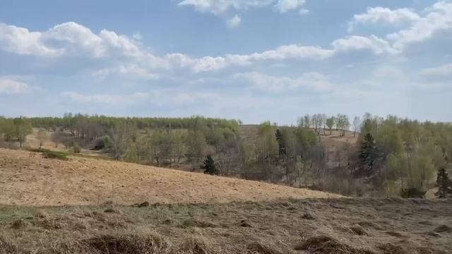 42:09:0505004:776 смотреть онлайн