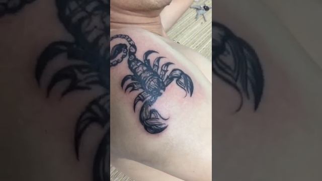 hình xăm bọ cạp ở tay cho a zai смотреть онлайн