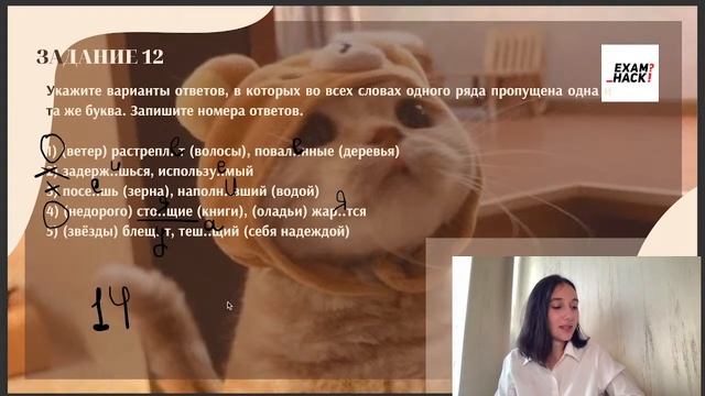 Решение варианта ЕГЭ Цыбулько 26 вариант. Онлайн-школа EXAMhack.