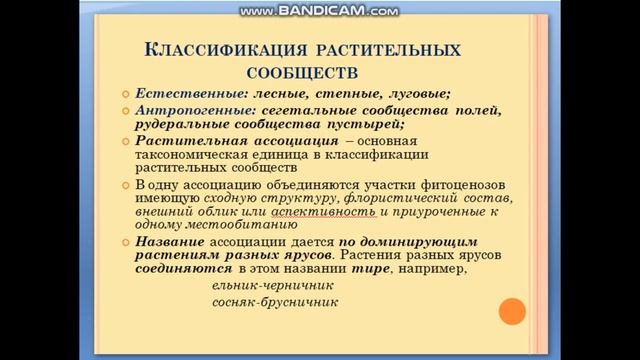 Методика геоботанических исследований|Объединение Planta мир