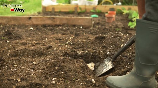 Нужна Ли Перекопка Грядок Осенью? Копать Или Не Копать? смотреть онлайн