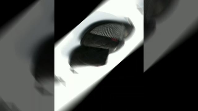 домашние тапочки ✨TWİGY ✨ смотреть онлайн