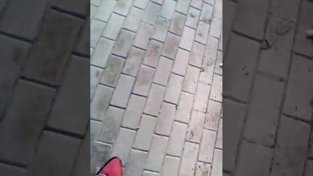 подарили пиниборд смотреть онлайн