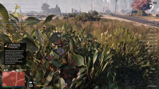 куда они смотрят Grand Theft Auto V смотреть онлайн