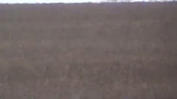 Мир на прогулке.