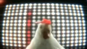 песня про петухов