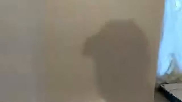 Покраска эркера (полукруглой стены) валиком – снято на видео смотреть онлайн