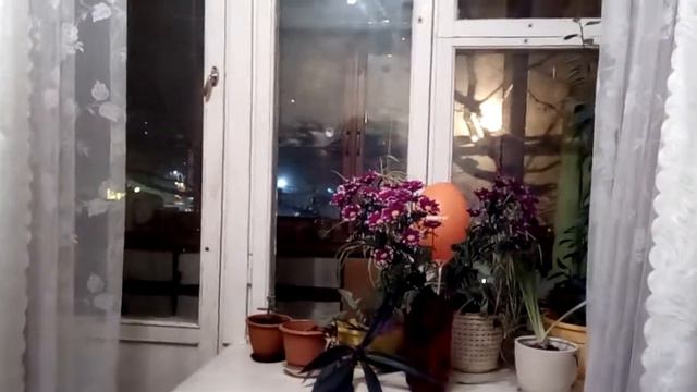 Олена Місєвич. Сонце смотреть онлайн