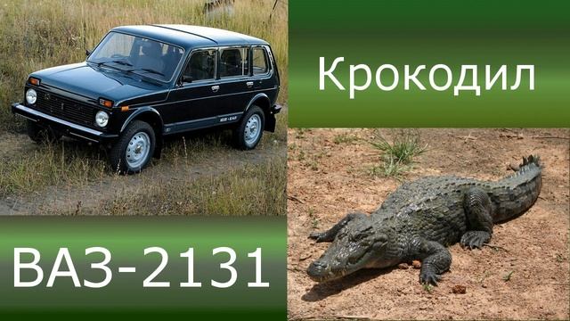 Народные названия автомобилей смотреть онлайн