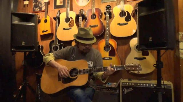 LR BAGGS ACOUSTIC PU DEMO FINGER смотреть онлайн