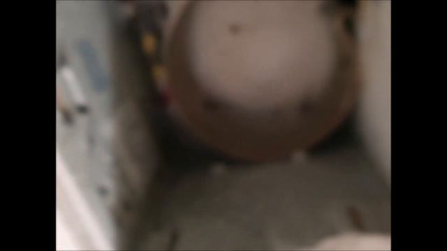 Bathroom Exhaust Fan Repair - Home DIY смотреть онлайн