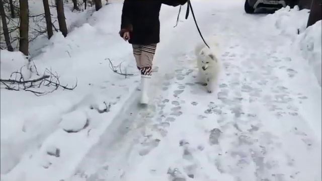 Юки мимо миски смотреть онлайн