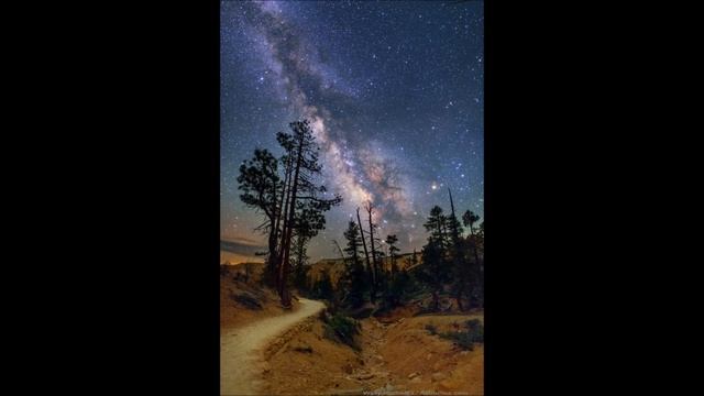 Stars At Dawn смотреть онлайн