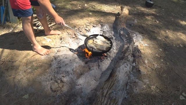 Жареные сазан и караси на садже. Поймали Амура на 6 киллограммов. смотреть онлайн