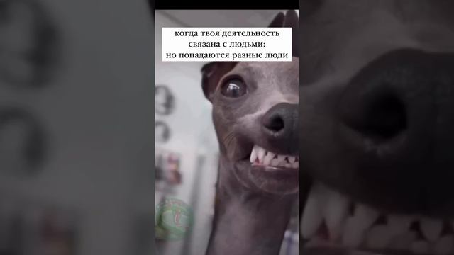 02-04-2024 я люблю людей