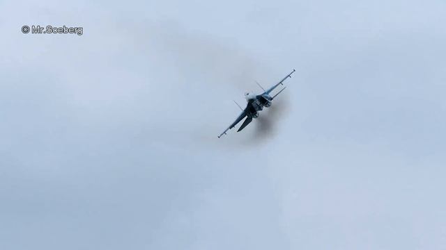 Su27 Flanker, =FULL DEMO= Ukrainian AF, Kleine Brogel смотреть онлайн