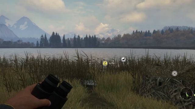The Hunter Call of the Wild. Охота на уток. БАГИ с утками. Утиная охота сломалась. Не работает мано смотреть онлайн