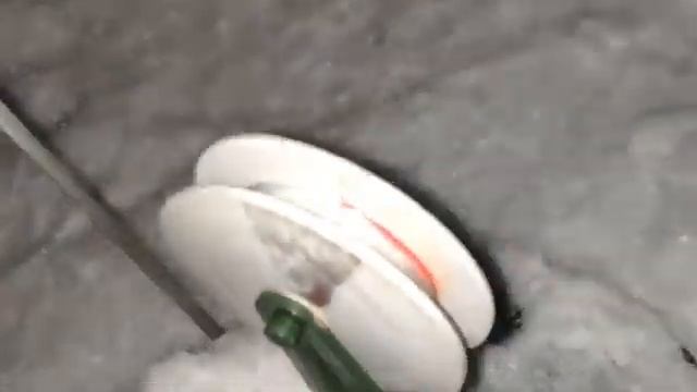 Весенний клев!!! #весна #рыбалка2020 #казахстан смотреть онлайн