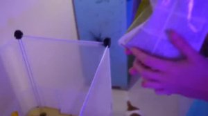 НОЧЬ В КОМНАТЕ ПИТОМЦЕВ МИСТИКА