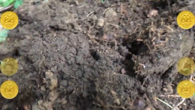 Коп в лесу смотреть онлайн