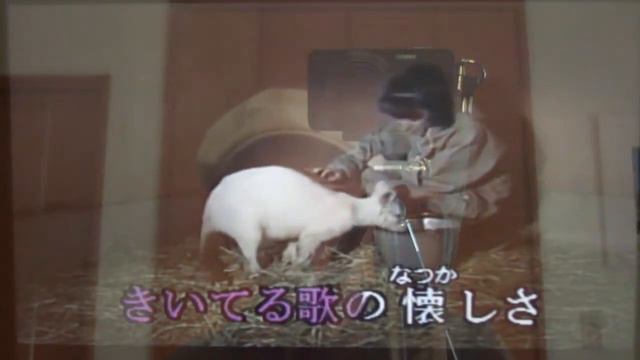 いつでも夢を　　Cover By Tachiyanagi