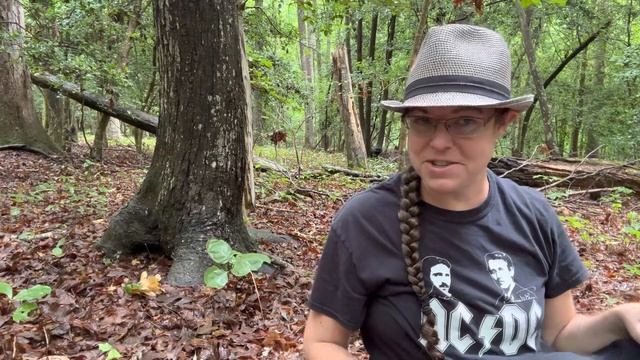 2023 mushroom season opener: Chanterelles, hedgehog mushrooms + Galiella rufa смотреть онлайн