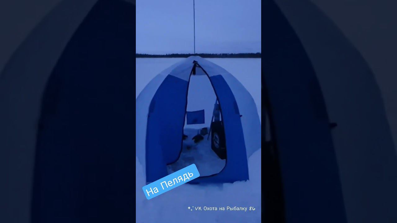 На Пелядь озеро Чаша смотреть онлайн