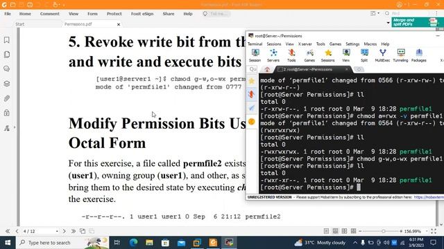 Understanding Linux Permissions Both Custom Permissions And Default Permissions смотреть онлайн