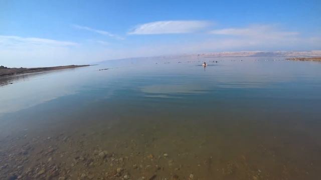 Иордания. Дорога. Мертвое море. Часть 1. #jordan #aqaba #road #мертвоеморе #travel #trip #akylife смотреть онлайн