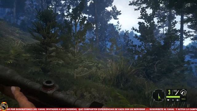 ?TE AWAROA NATIONAL PARK - the hunter call of the wild español - 226 смотреть онлайн