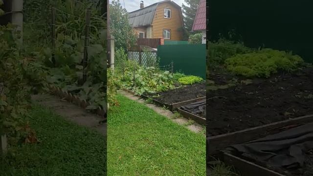 мини-обзор дачи. Участок. смотреть онлайн