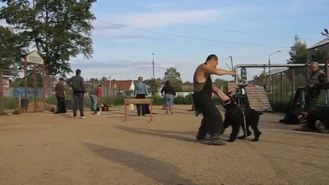 Аронника смотреть онлайн