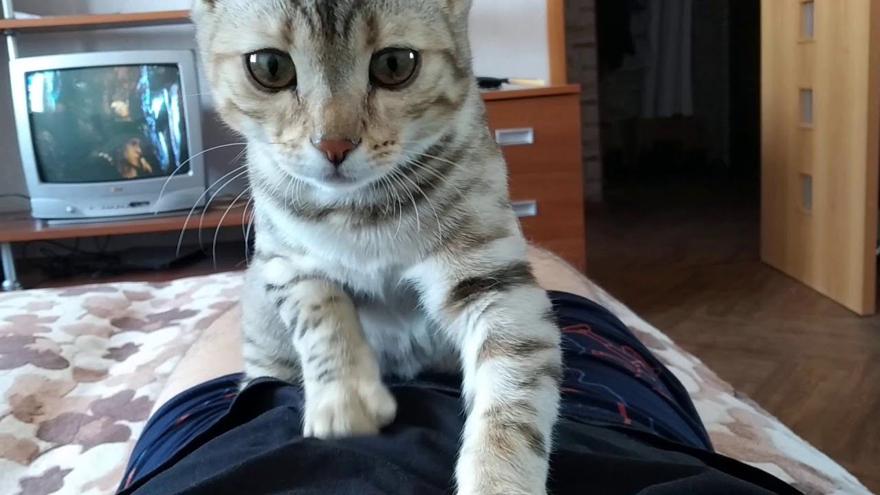 22 января 2020 г. смотреть онлайн