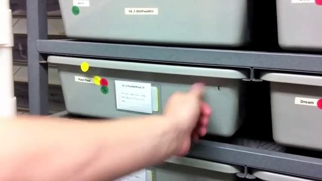 Pro Tips: Ball Python Breeding - Pt 3 смотреть онлайн