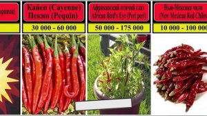 Острые перцы по шкале Сковилла