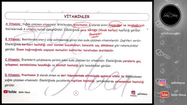 6) Vitaminler смотреть онлайн