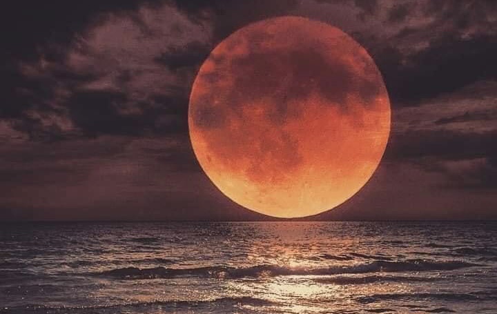 Горе всякому уму!